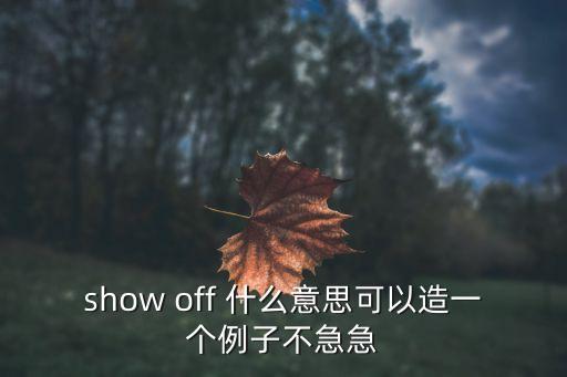 showoff，show off 什么意思可以造一個例子不急急