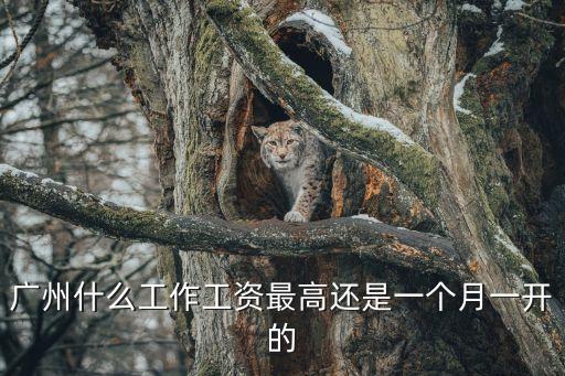 廣州什么行業工資最多，廣州有什么工作工資高