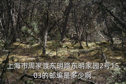 上海市周家渡東明路東明家園2號1503的郵編是多少啊