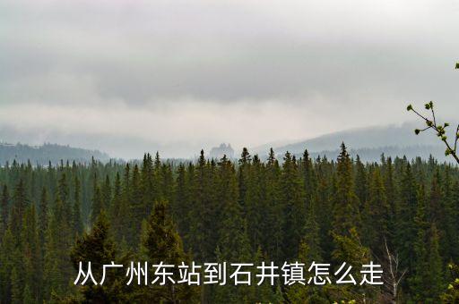 從廣州東站到石井鎮怎么走