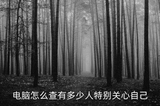 qq特別關心查詢，qq里的特別關注的好友在哪顯示
