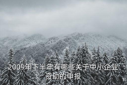 上海市龍頭企業(yè)項(xiàng)目資助，上海市軟件和集成電路產(chǎn)業(yè)發(fā)展補(bǔ)助怎么申報(bào)