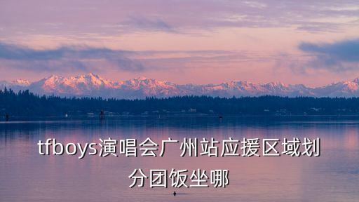 tfboys演唱會(huì)廣州站應(yīng)援區(qū)域劃分團(tuán)飯坐哪
