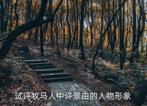 牧馬人電影觀后感，中國的老電影牧羊人
