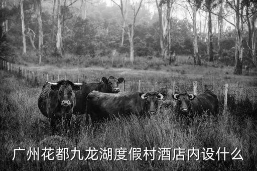 廣州九龍湖圓夢英倫，廣州花都九龍湖度假村酒店內(nèi)設(shè)什么