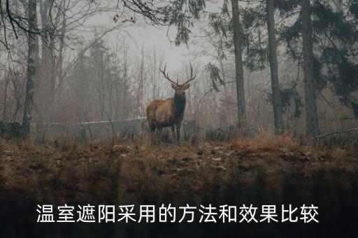 廣州地區(qū)夏季遮陽方式，夏天的房屋應(yīng)該怎樣進行遮陽