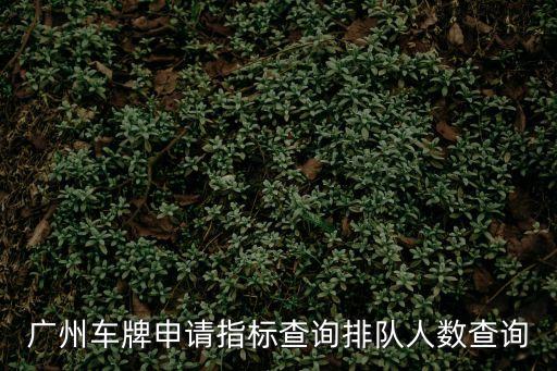 廣州車牌申請(qǐng)指標(biāo)查詢排隊(duì)人數(shù)查詢