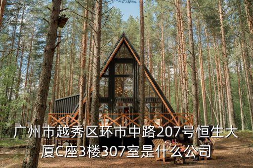 廣州市越秀區環市中路207號恒生大廈C座3樓307室是什么公司