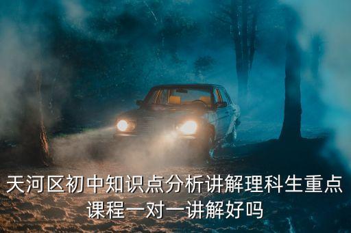 廣州華埔學堂知識點，天河區初中知識點分析講解理科生重點課程一對一講解好嗎