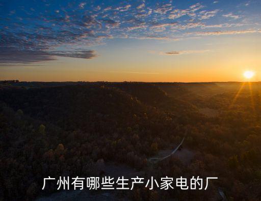 廣州有哪些生產(chǎn)小家電的廠