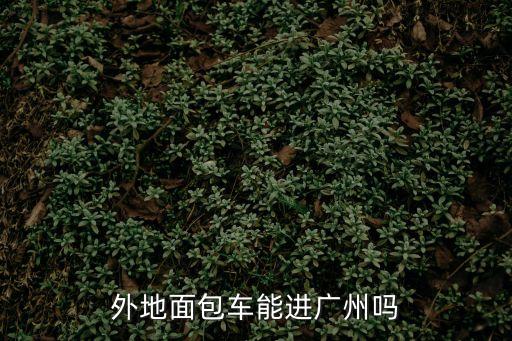 廣州能拉黃包車嗎，廣州白云區可以拉黃包車嗎城管和交警會管嗎