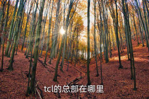 tcl的總部在哪里