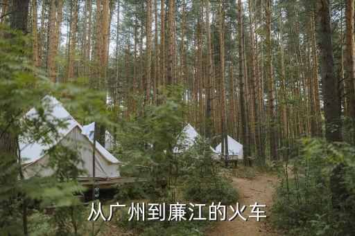 廣州到廉江火車站最早幾點，廣州省站到廉江市