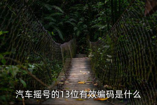 汽車搖號(hào)的13位有效編碼是什么