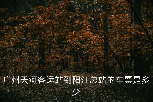 廣州天河客運(yùn)站到陽(yáng)江總站的車(chē)票是多少