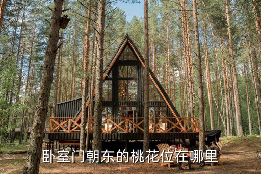 臥室門朝東的桃花位在哪里