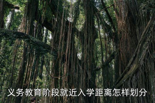 廣州就近入學原則5公里，怎么才算就近入學