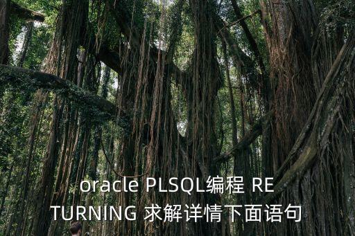 oracle PLSQL編程 RETURNING 求解詳情下面語句