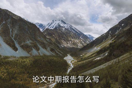 論文中期報告，畢業論文中期報告