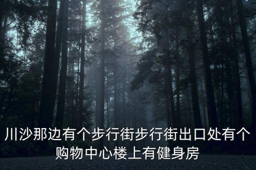 川沙那邊有個步行街步行街出口處有個購物中心樓上有健身房