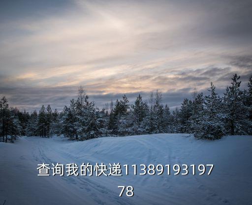 查詢我的快遞1138919319778