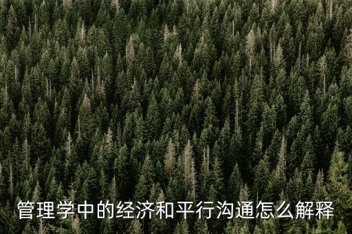 管理學(xué)中的經(jīng)濟(jì)和平行溝通怎么解釋