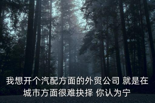 我想開個汽配方面的外貿(mào)公司 就是在城市方面很難抉擇 你認為寧