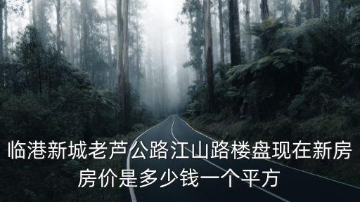 臨港新城老蘆公路江山路樓盤現在新房房價是多少錢一個平方