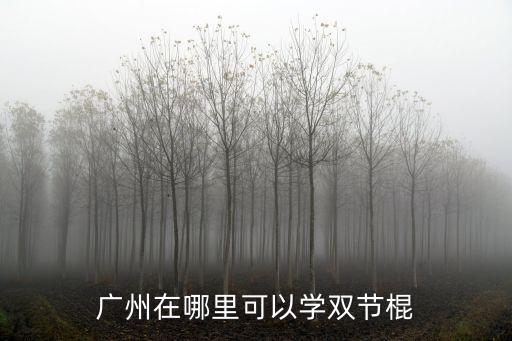 廣州雙節棍培訓中心，廣州在哪里可以學雙節棍