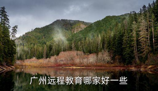 廣州遠程教育哪家好一些