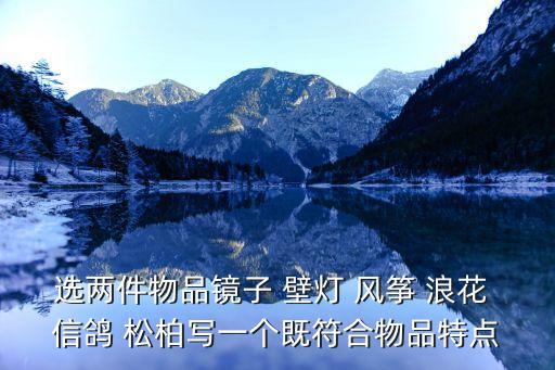 可以正衣冠，選兩件物品鏡子 壁燈 風(fēng)箏 浪花 信鴿 松柏寫一個既符合物品特點