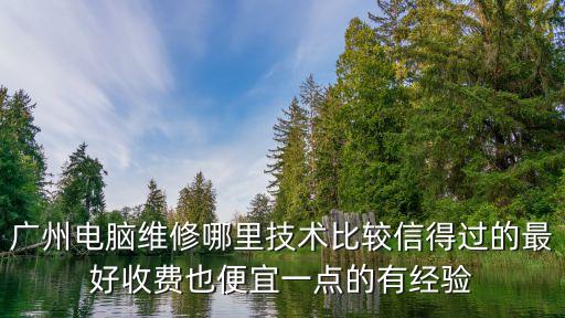 廣州電腦維修點哪里好，廣州電腦維修哪里技術(shù)比較信得過的最好收費也便宜一點的有經(jīng)驗