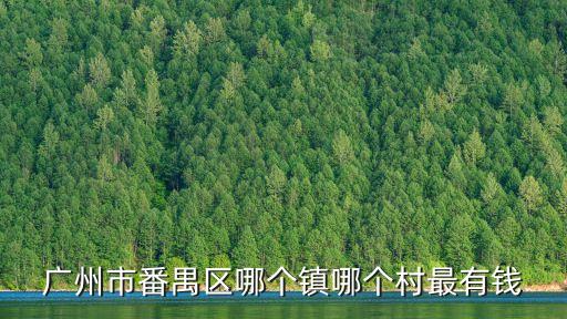 廣州的什么村很有錢，廣州省雷州市最富有的農村