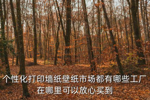 個性化打印墻紙壁紙市場都有哪些工廠在哪里可以放心買到