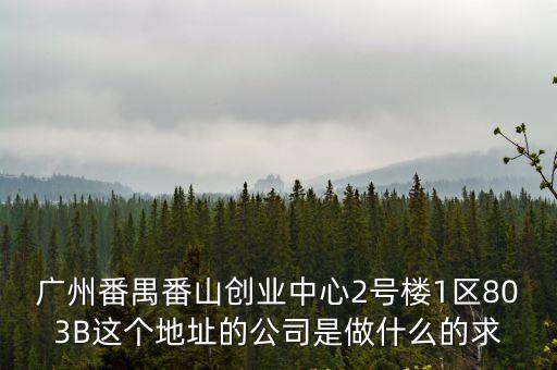 廣州番禺番山創(chuàng)業(yè)中心2號樓1區(qū)803B這個地址的公司是做什么的求