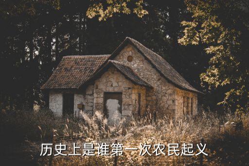 第一次農民起義，歷史上是誰第一次農民起義