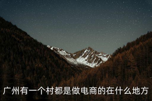 廣州有一個村都是做電商的在什么地方