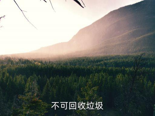 不可回收，什么是不可回收垃圾