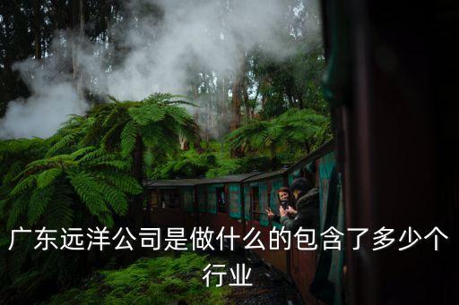 廣東遠(yuǎn)洋公司是做什么的包含了多少個(gè)行業(yè)
