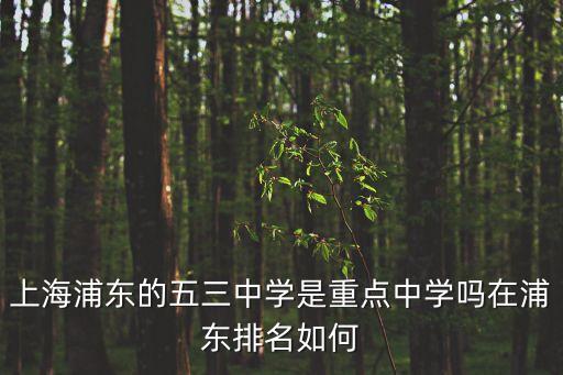 上海浦東的五三中學是重點中學嗎在浦東排名如何