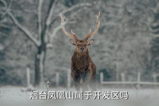 煙臺鳳凰山，鳳凰山 簡介
