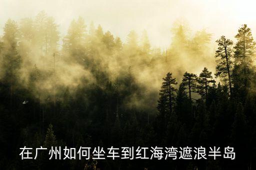 在廣州如何坐車(chē)到紅海灣遮浪半島
