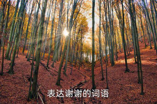 感謝的詞語，求形容感謝的詞