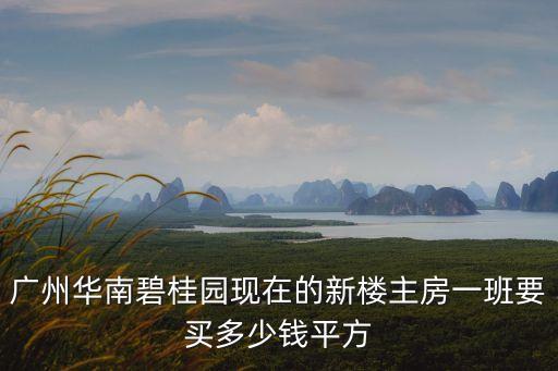 廣州碧桂園新房房源房價，廣州華南碧桂園房價