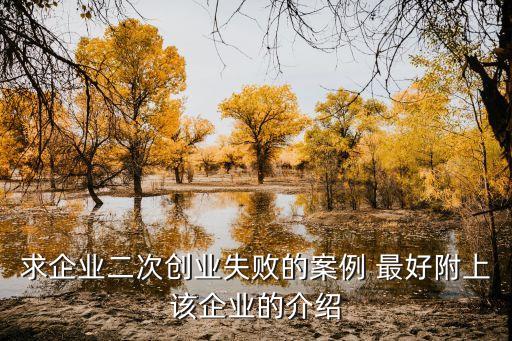 創業失敗案例，求企業二次創業失敗的案例 最好附上該企業的介紹