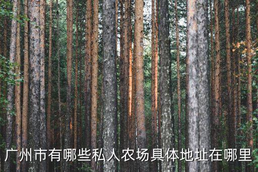 廣州市有哪些私人農場具體地址在哪里