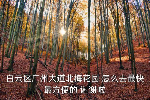 白云區廣州大道北梅花園 怎么去最快最方便的 謝謝啦