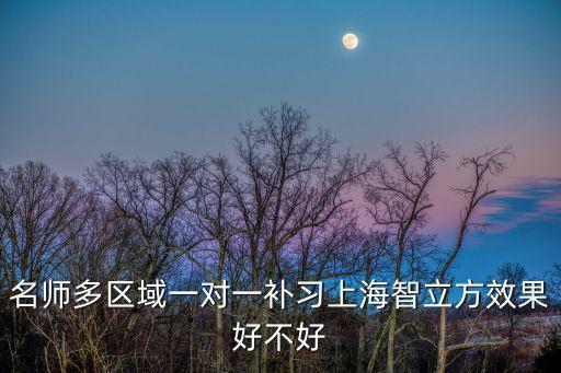 名師多區域一對一補習上海智立方效果好不好