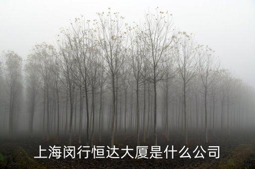 上海市閔行區航南路378號，上海閔行恒達大廈是什么公司