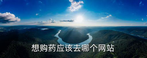 上海市藥店網(wǎng)，金補(bǔ)口服液多少錢一盒